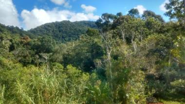 Apartamentos Margarida