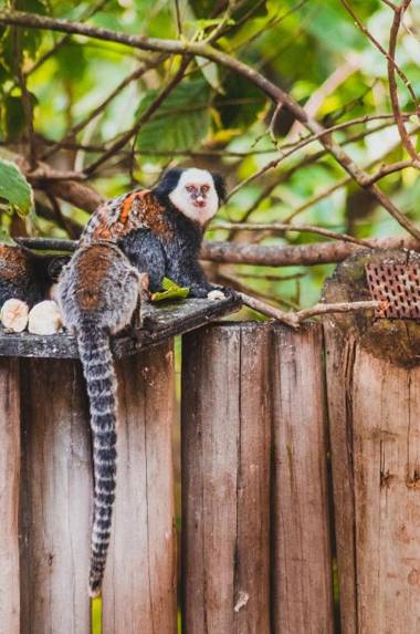 Hotel Boutique Bahia Bonita