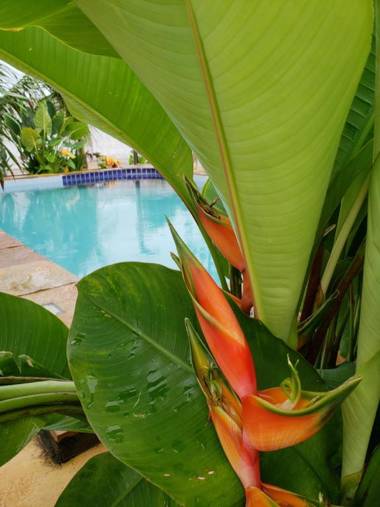 Chalés Villa da Praia