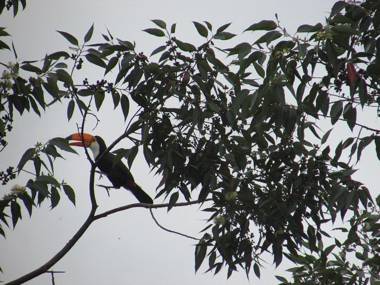 Pousada Village Tere