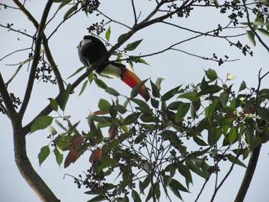 Pousada Village Tere