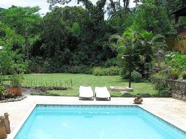 Bromélia Sabiá & Cia