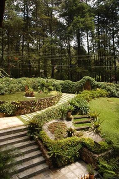 Bromélia Sabiá & Cia