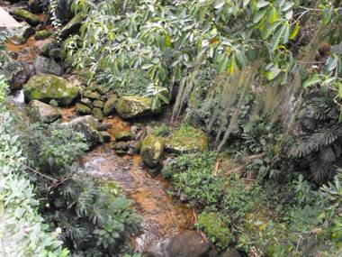 Pousada Cascata dos Amores