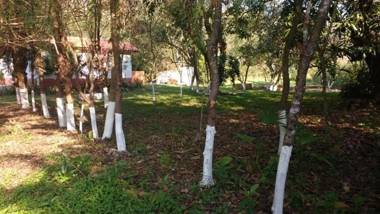 Pousada Terra Nostra