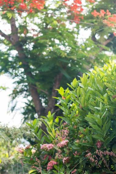 Pousada Solar Tropical