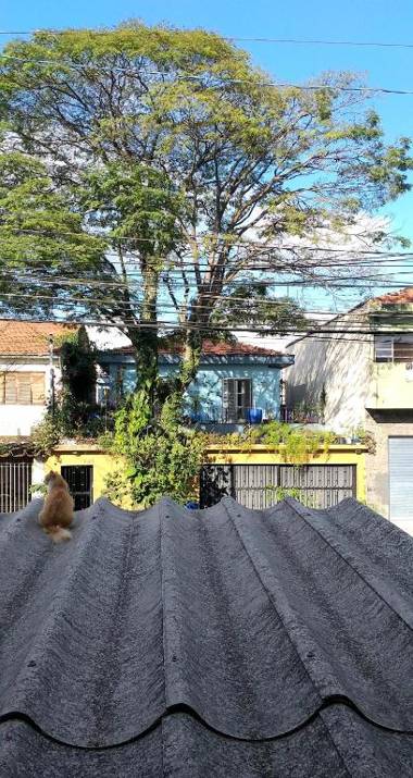 Micasa Hostel - Congonhas