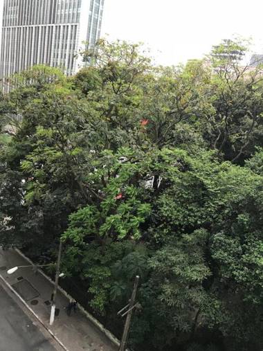 Loft at Paulista Avenue (no coração de S.Paulo)