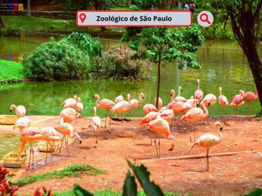 Hotel São Judas próximo a Expo São Paulo