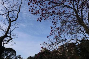 Hospedaria - A Casa Café Arte - Valores Acessíveis