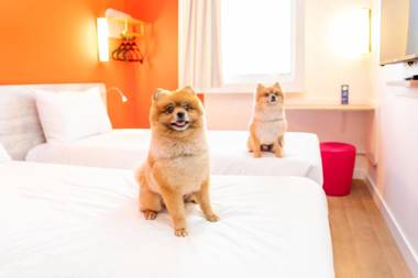 ibis budget Sao Caetano