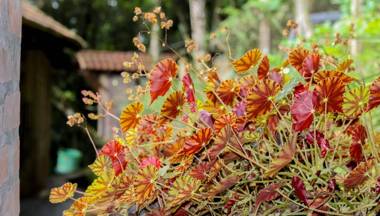 Rancho do Lucas - Cabana e Chalé