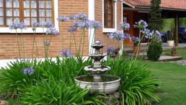 Toca - Bairro Serrano