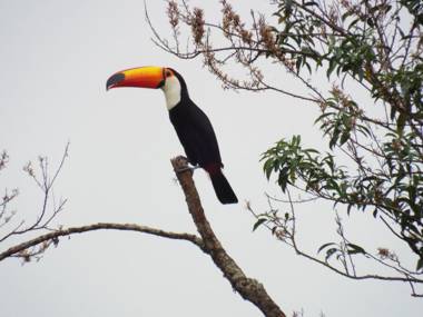 Estrela da Serra Hotel Fazenda
