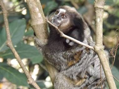 Dormitório - Hospedagem Caminho da Angélica