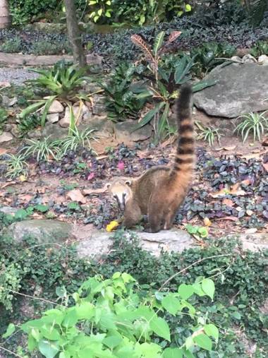 Casa Caminho do Corcovado
