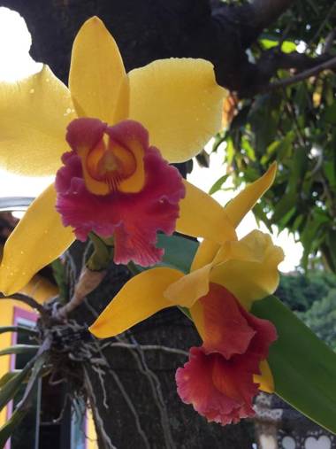 Casa da Carmen e do Fernando