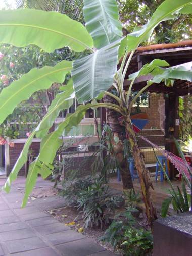 Hotel Pousada Casuarinas