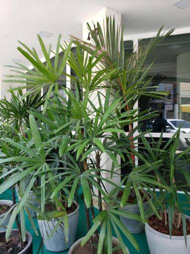 Hotel Boa Viagem Aeroporto Inn