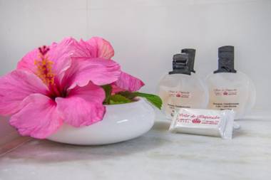 Hotel Solar do Imperador