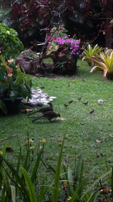 Pousada Varanda do Sol