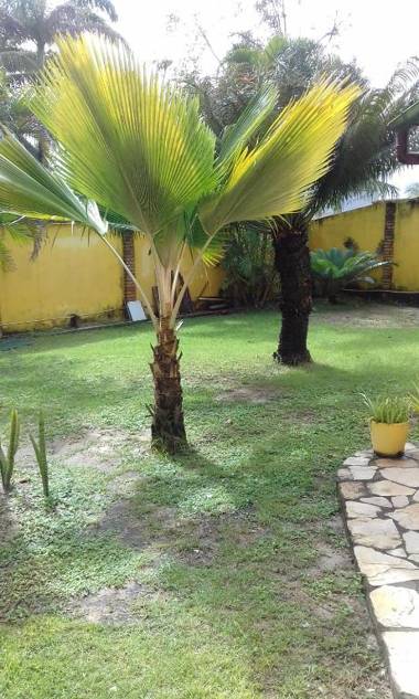 Hotel Pousada Porto do Colibri