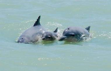 Solar de Pipa Vip Confort - Spa Hidro Flat