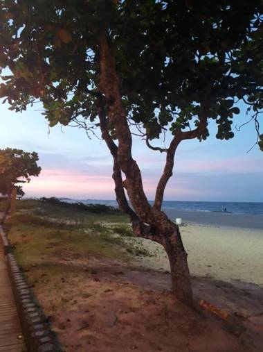 Apto de Praia Fiji 1108