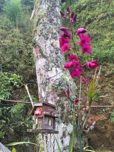 Loft Aconchego da Serra