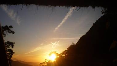 Chales Bamboo Jungle