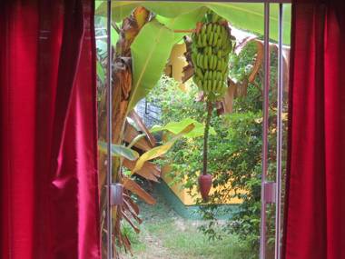 Solar Vovó Emma House