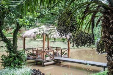 Pousada Valle dos Pássaros