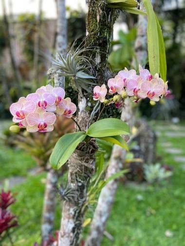 Casa Nostra Boutique Hotel