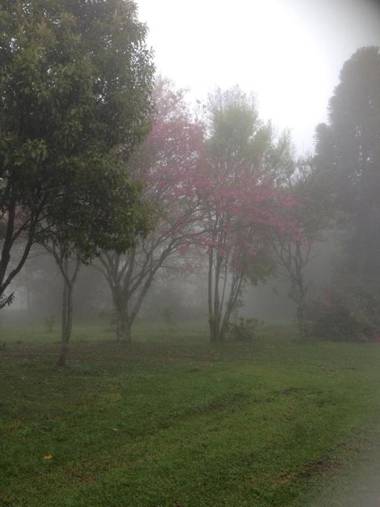 Sitio da Paz Celestial