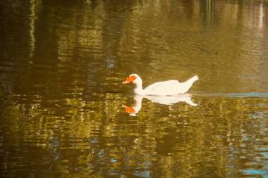 Pousada Janela do Vale