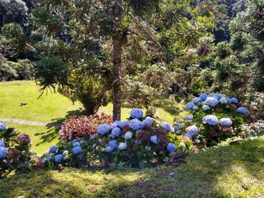 Hortênsias da Serra Pousada