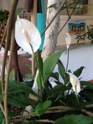 Art Hotel Aos Sinos Dos Anjos