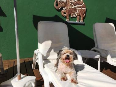 Pousada Pura Vida Maresias