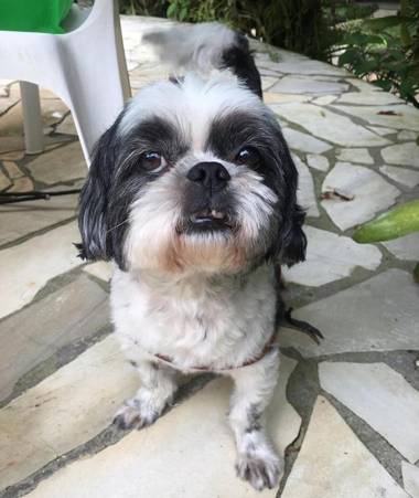 Pousada Pé da Mata Maresias