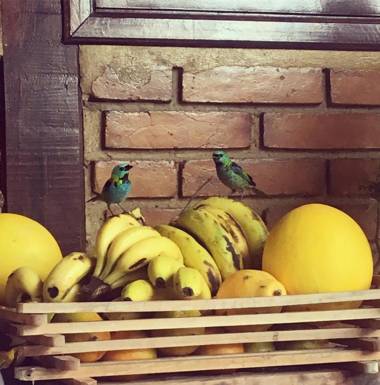 Pousada Novo Encanto Maresias