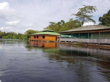 Amazon Arowana Lodge