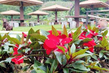 Pousada Espaço da Onça