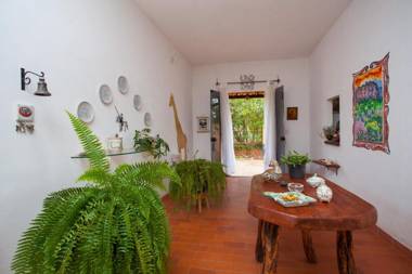 Beija- flor de Lençóis