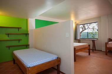 Beija- flor de Lençóis