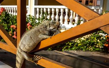 Hotel Villa Terra Viva