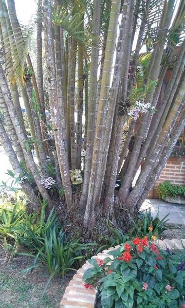 Suites em meio a Mata Atlântica