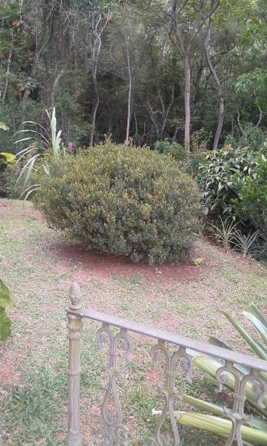 Suites em meio a Mata Atlântica