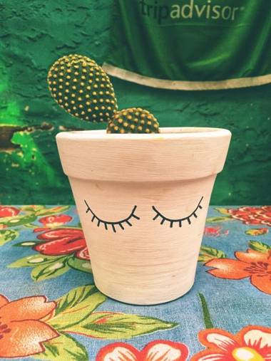 Buddy's Hostel Itacaré