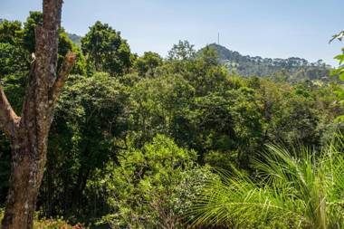 Pousada Solar D'Araucaria