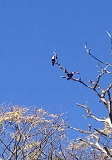 Residencial das Araucárias